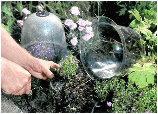 10pcs/set 10" GrowAway Reusable Plastic Greenhouse - Image 2