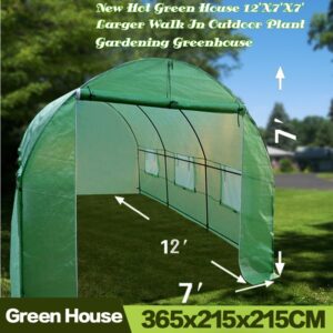 AULAYSED New Hot Green House Larger Walk